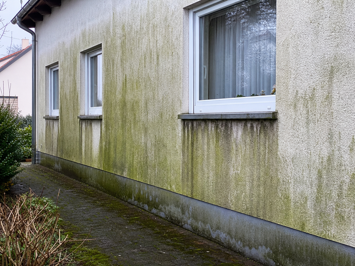 Stark verschmutzte Hausfassade in Würzburg – Algen und Grünbelag vor der Fassadenreinigung