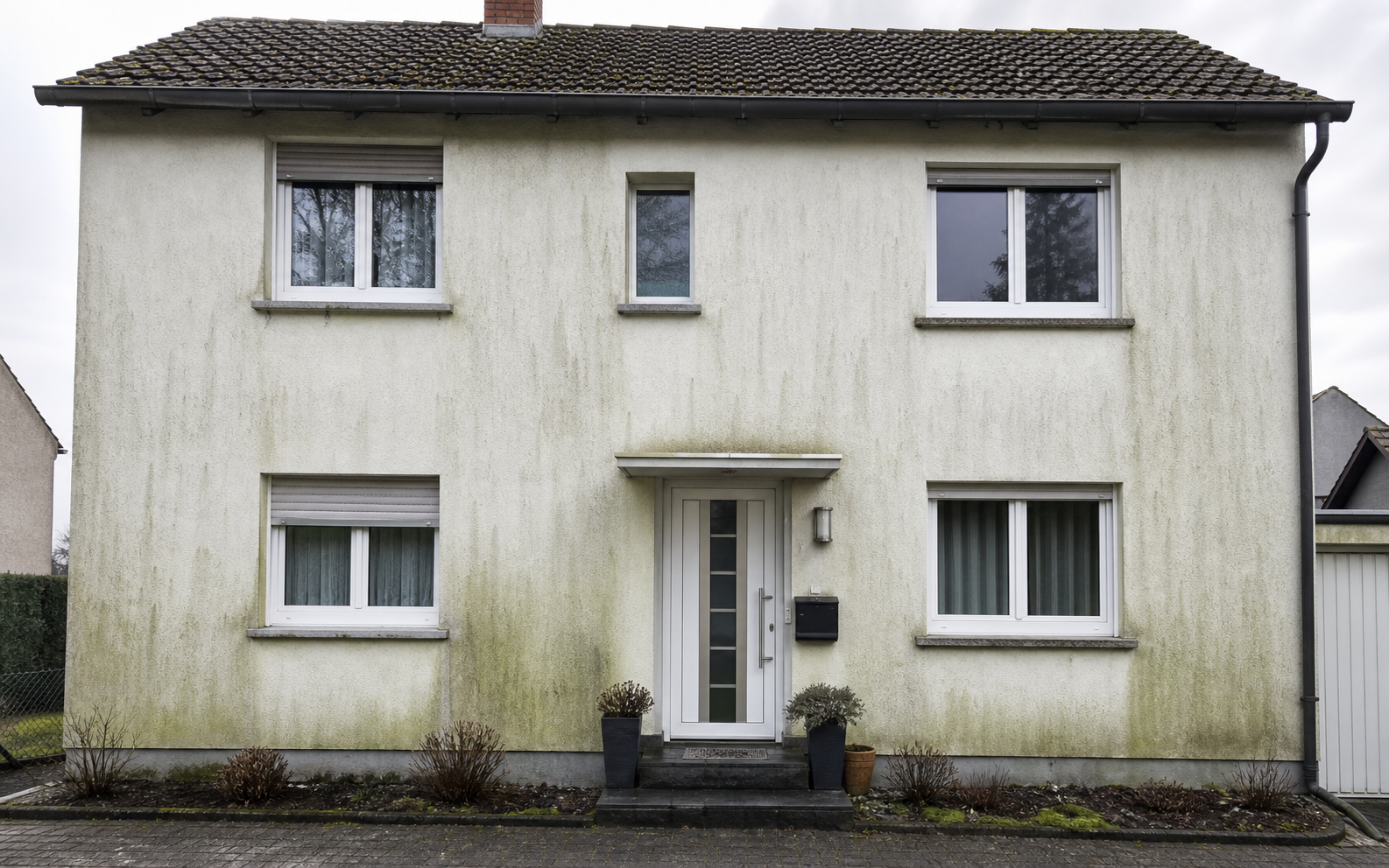 Fassade vor Fassadenreinigung – Algen und Bewuchs
