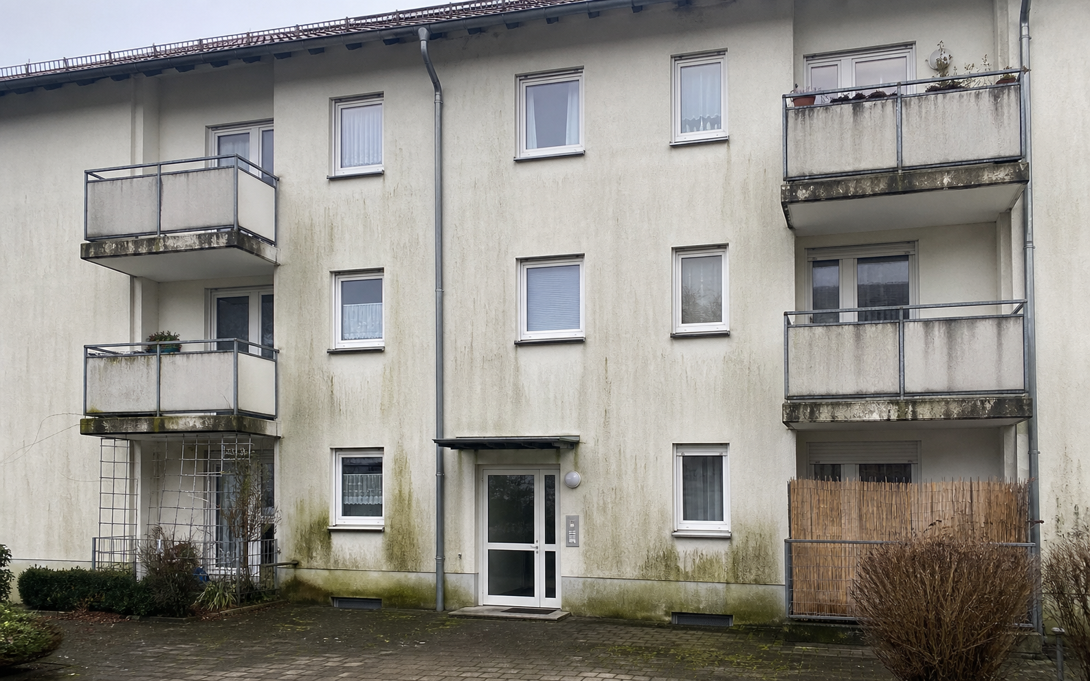 Fassade vor der Fassadenreinigung – starker Algenbefall
